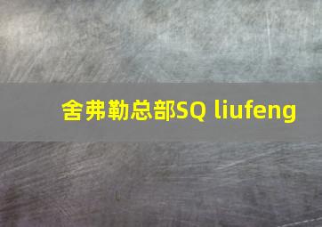 舍弗勒总部SQ liufeng